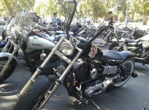 Harley-2014