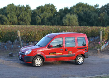 kangoo1