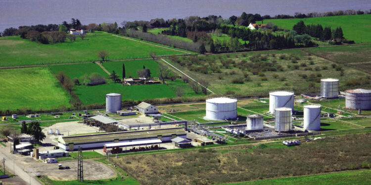 Shell está de festejo: cumple 100 años en la Argentina