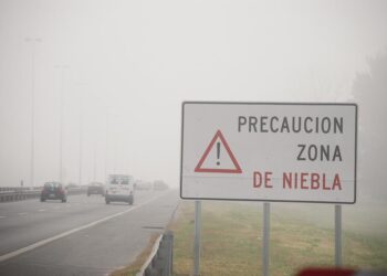 Mitos y verdades que todo conductor debería conocer