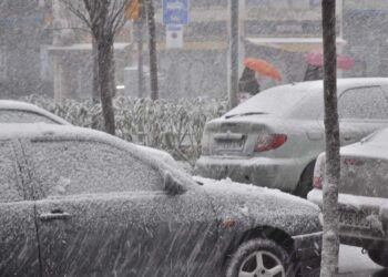 Mirá cómo proteger tu motor del frío