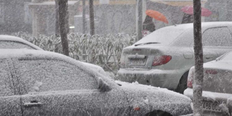 Mirá cómo proteger tu motor del frío