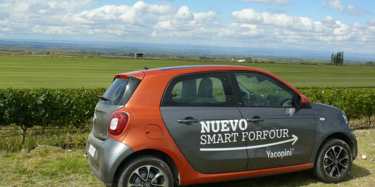 Smart ForFour campo