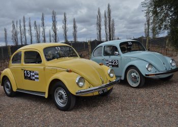 Comprar un Escarabajo en la Argentina:  precios del Volkswagen Beetle hoy