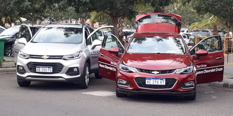 Cruze en Palmares