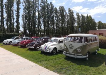 escarabajo beetle mza 8