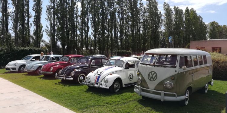 escarabajo beetle mza 8