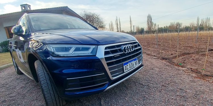 Audi-Q5-test-2