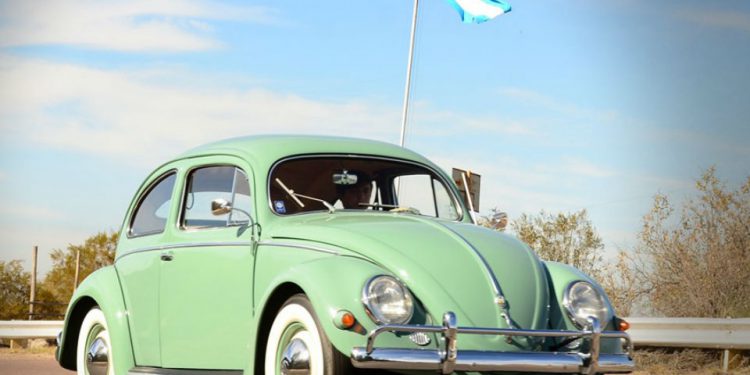 Escarabajo mendoza 2019