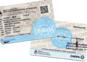 Cédulas de Identificación de los Automotores