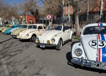 Escarabajos mza 5