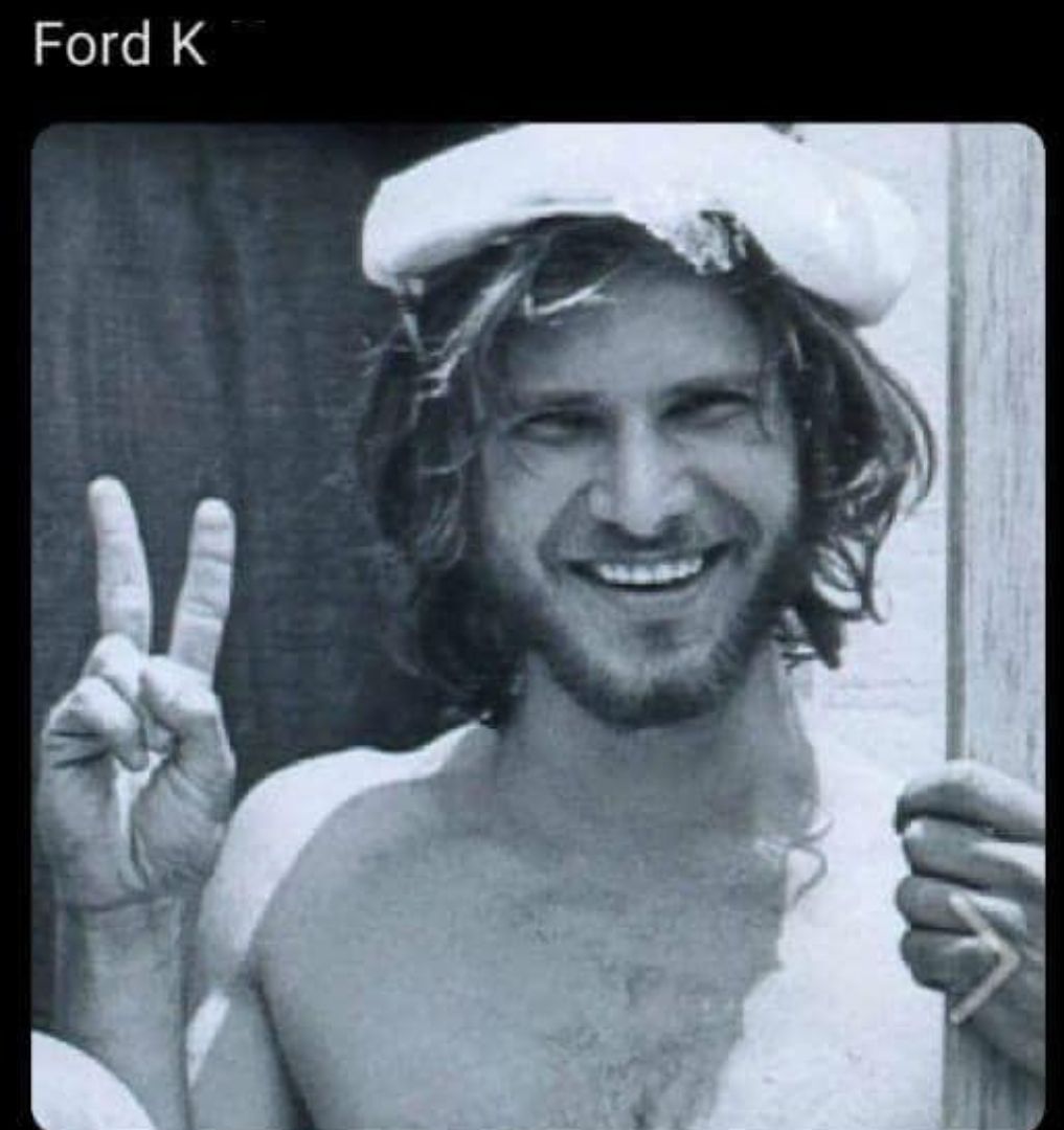 Los mejores memes de Harrison y Ford.