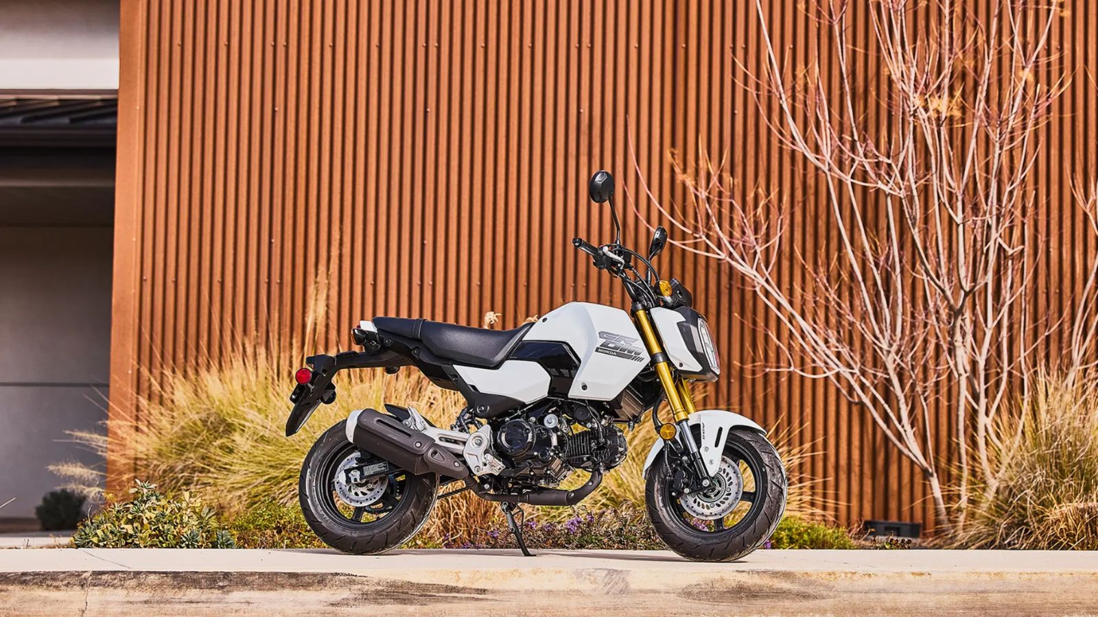 Honda MSX125 Grom