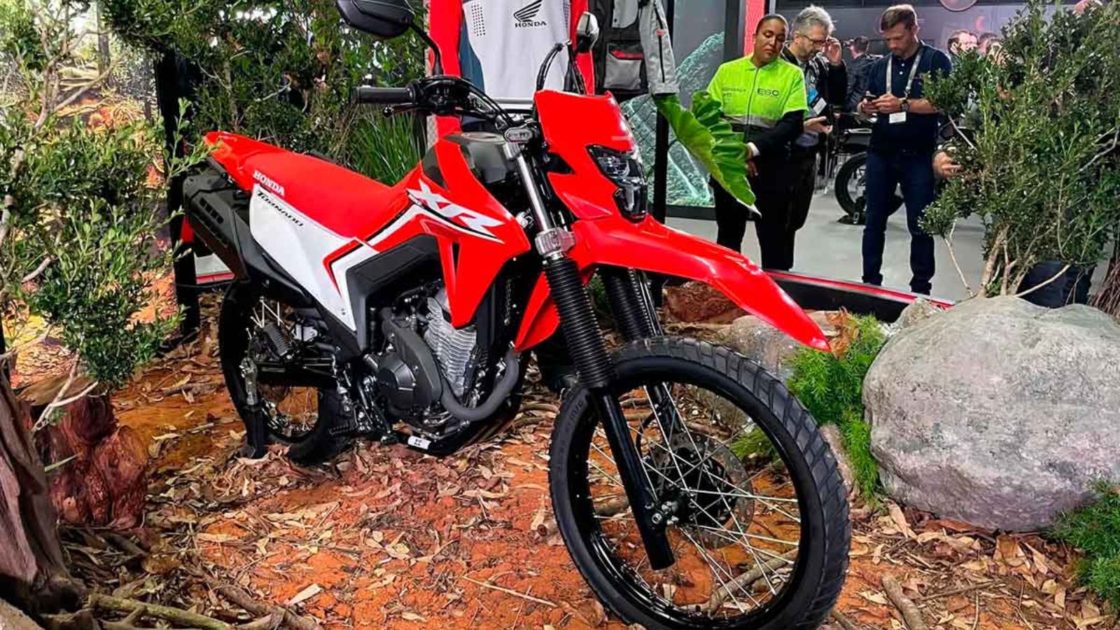 Nueva Honda Tornado XR300L