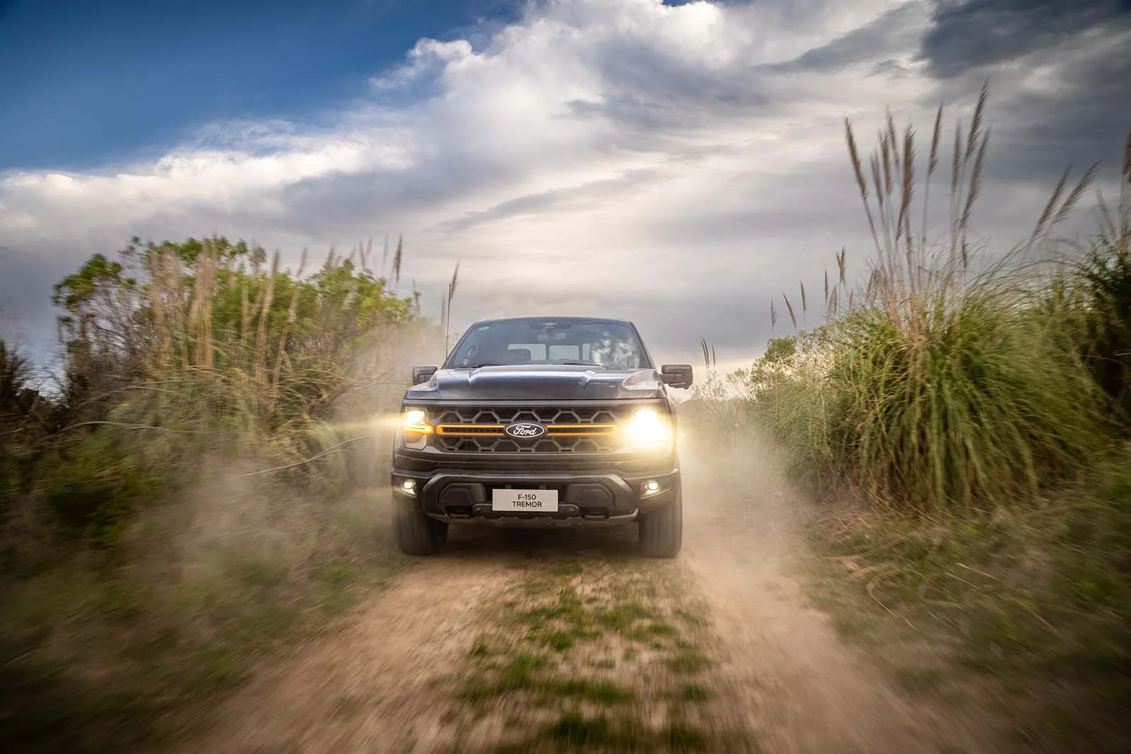 Ford F-150 Tremor 1
