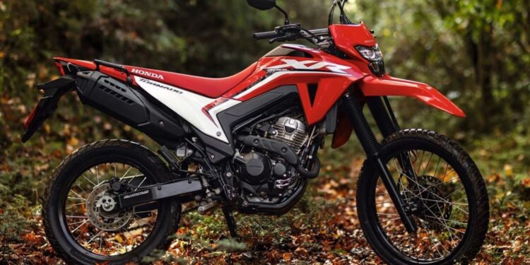 Nueva Honda Tornado XR300L