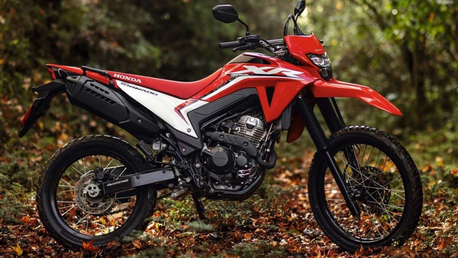 Nueva Honda Tornado XR300L