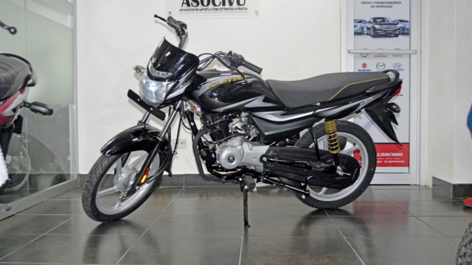 Bajaj Platina 100