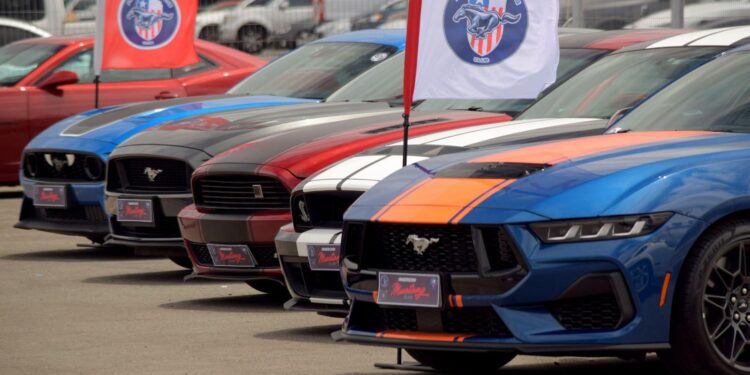 Experiencia de Clásicos Mendoza Mustang Club