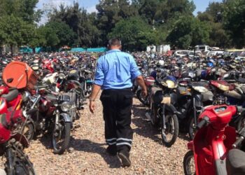 Remate en Cuyo en enero