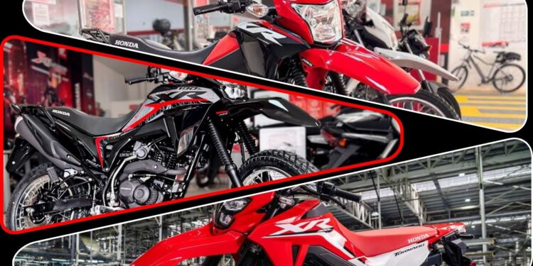 FAMILIA HONDA XR