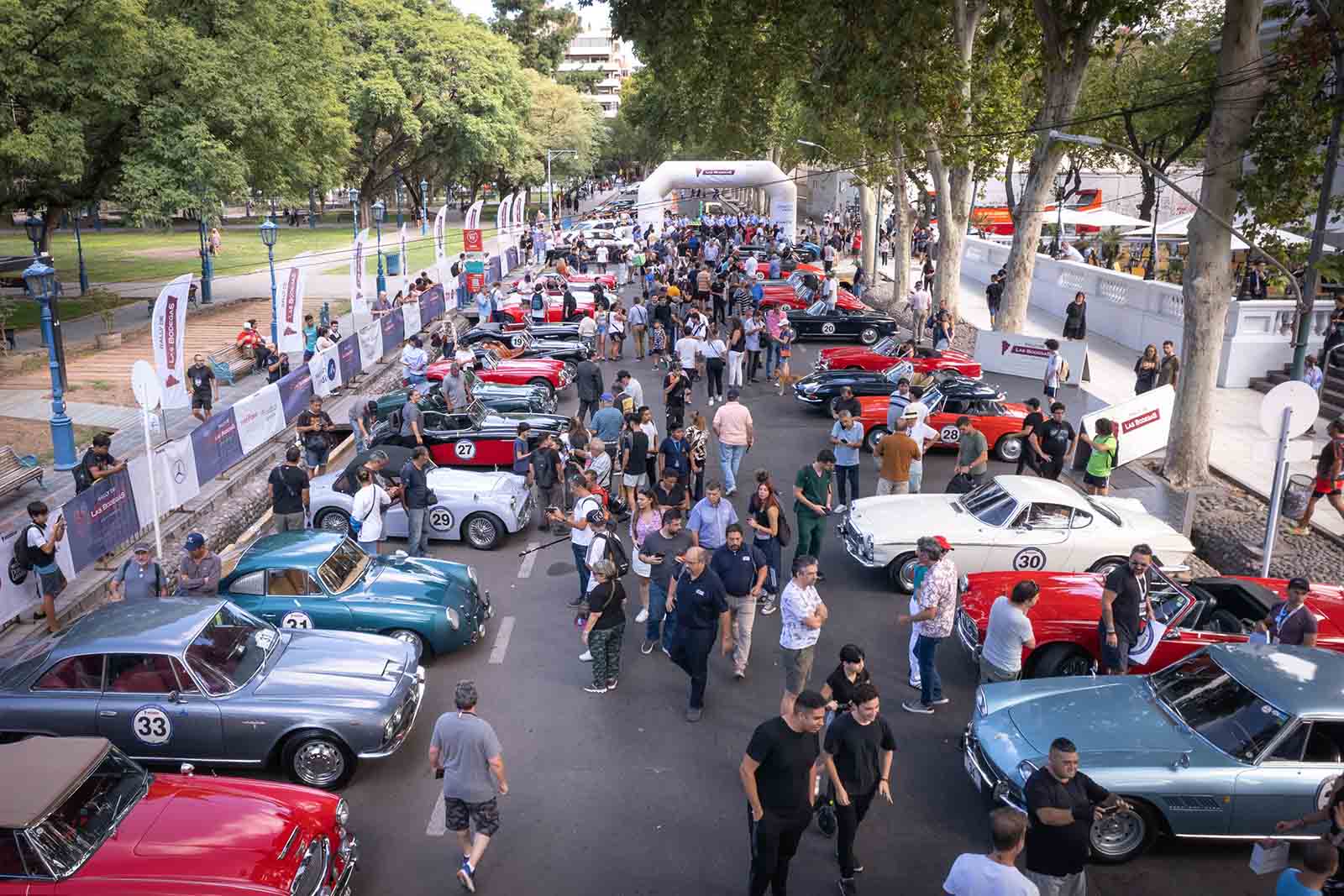 Rally de las Bodegas