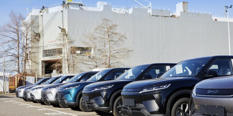 BYD y su nueva flota de modelos en Argentina