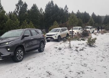 Toyota Winter Experience 2025: la clínica de manejo 4×4 que une aventura, nieve y capacitación