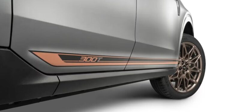 Ford Maverick 300T (1)