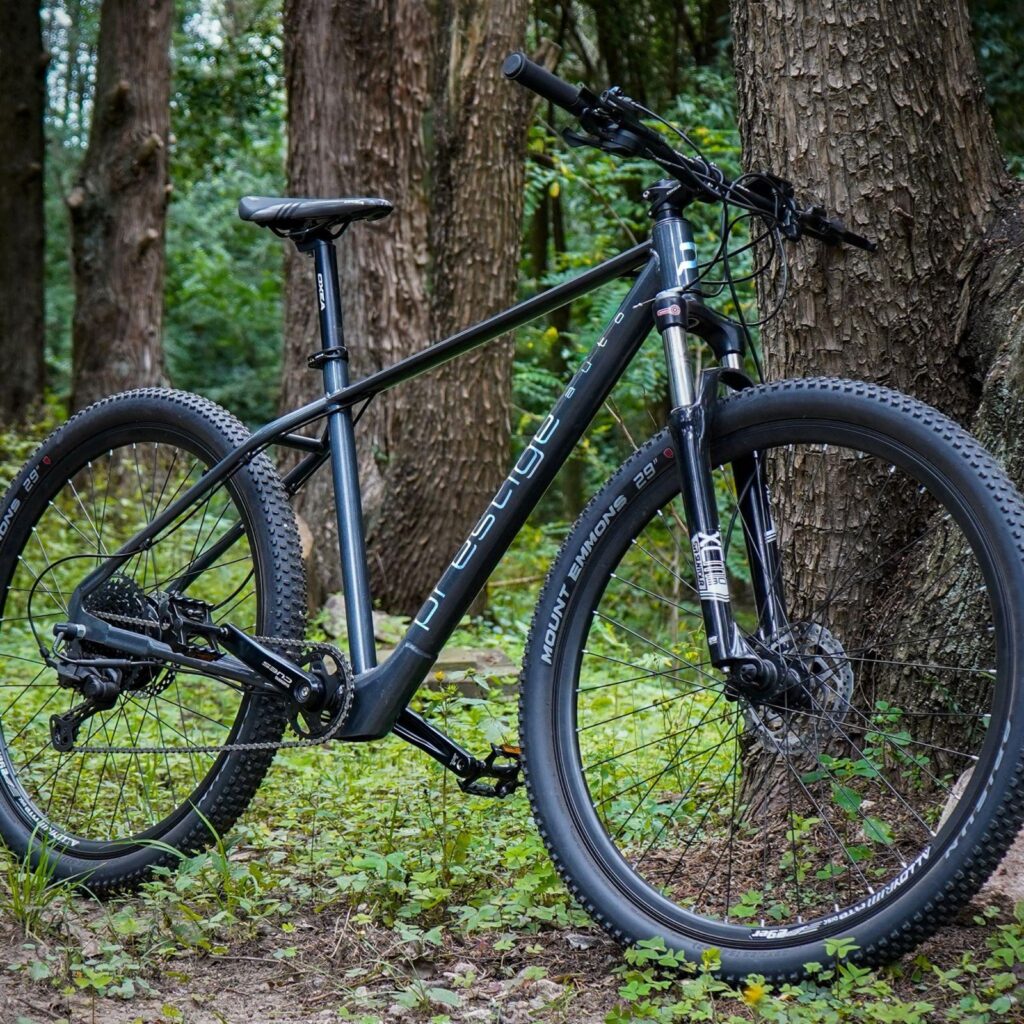 E-Bike MTB R29