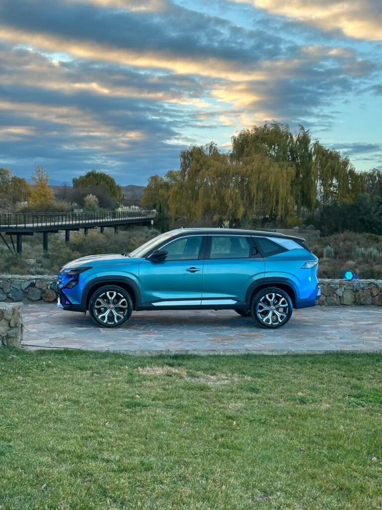 Boreal 8 mendoza